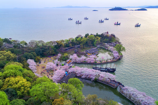 Trip 4:  An Eight-Day Flower-Viewing Tour in Changsha